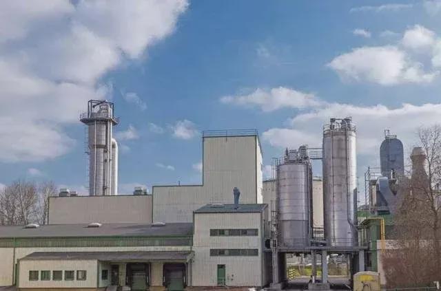 黨參飄香時，最新價格揭示背后的溫情故事