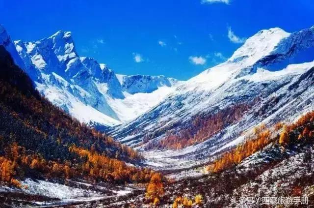 小明探索最新永久平臺(tái)，自然秘境之旅，尋找心靈寧靜之地