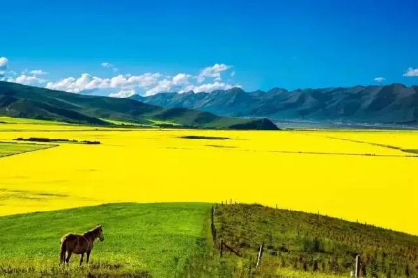 廢柴網(wǎng)新域名帶你探索自然美景，尋找內(nèi)心寧?kù)o的旅程