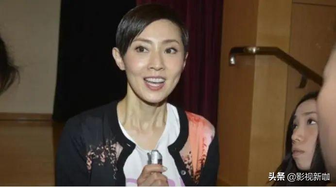 政府最新廣告，宣傳效果與社會反響的辯證解讀報告分析出爐！