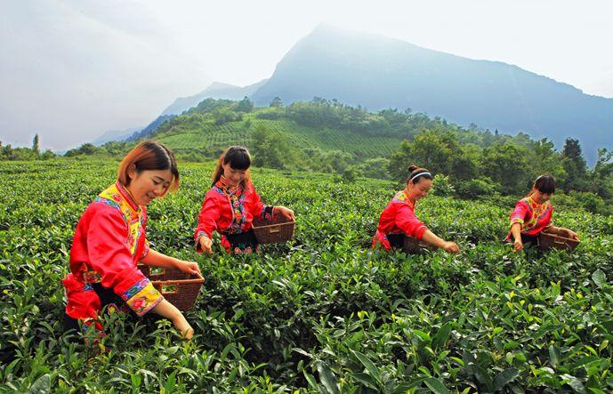 探索未知，發(fā)現(xiàn)小巷中的獨(dú)特風(fēng)味秘境小店——最新島嶼之旅