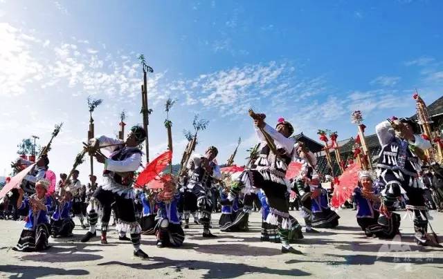 最新蘆笙舞，深度評測與詳細(xì)介紹
