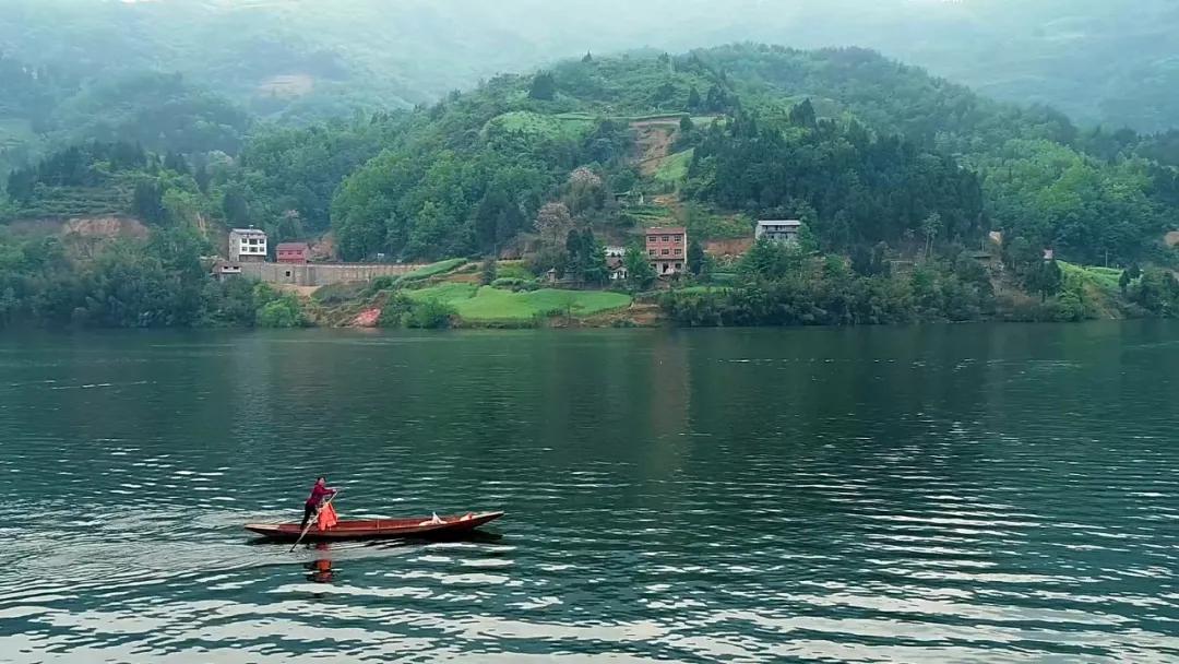 防衛(wèi)最新法與大自然療愈力量，心靈之旅的啟程探索