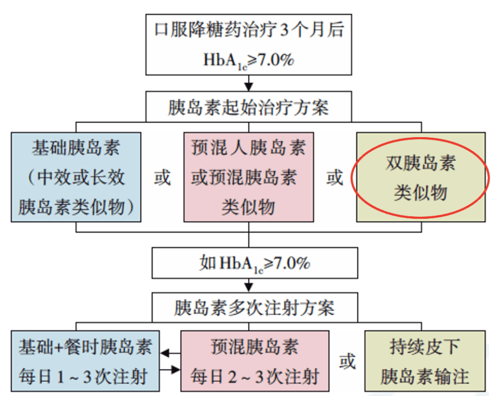 扇環(huán)最新制作指南，詳細(xì)步驟教程