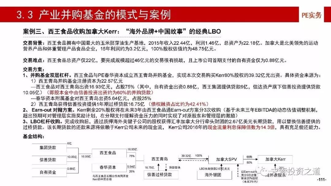 別枝最新章深度解析與心得分享，情感、成長與人生啟示