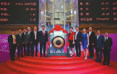 小步大夢想，公司上市之路的歡笑與陪伴策略指南