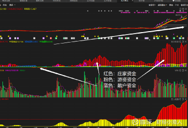 索通發(fā)展股票資金流向背后的故事，小巷深處的寶藏探秘之路