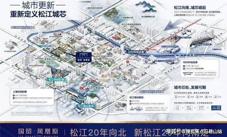 大黑拾最新市場(chǎng)價(jià)格解析，市場(chǎng)風(fēng)云與最新價(jià)格走勢(shì)探討