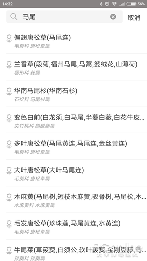 今日大蒜價格詳解，查詢、監(jiān)控，成為價格達(dá)人之路