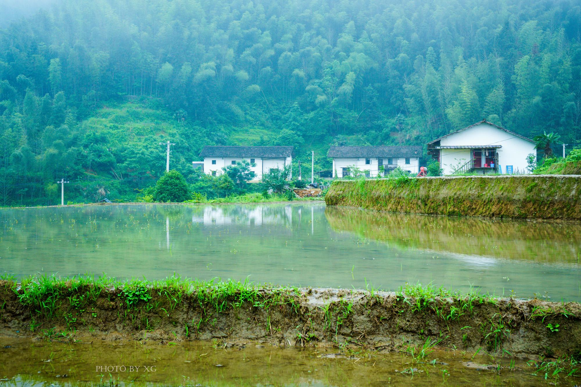 蘋果最新QQ版本，探索自然美景，尋找內(nèi)心平靜之旅