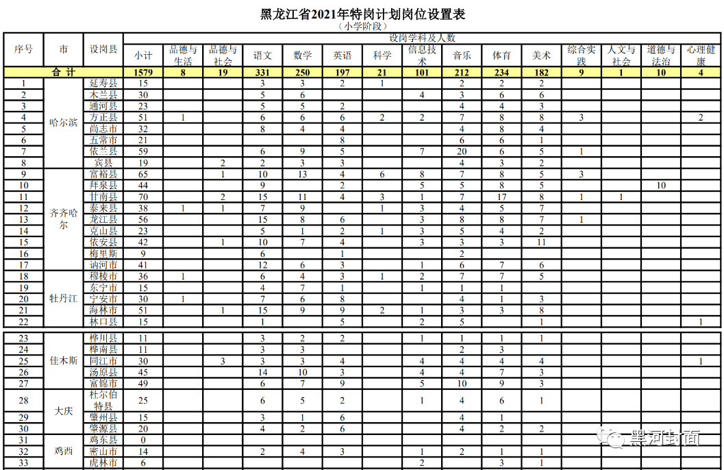 項(xiàng)城小巷職業(yè)寶藏大揭秘，最新職位招聘與特色小店人才探尋！