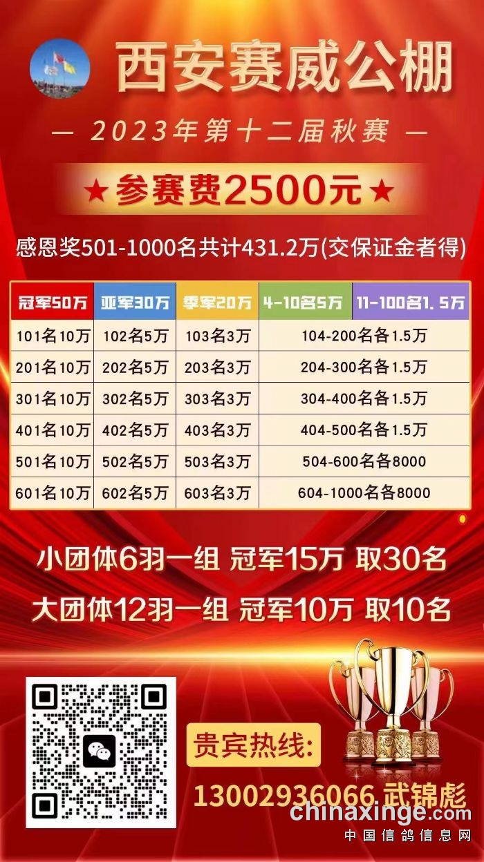 豬肉粉 第159頁(yè)