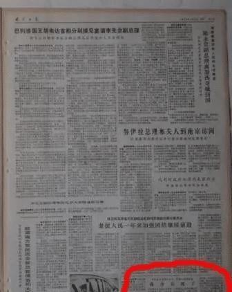 最新死亡報(bào)告詳解，全面評測與介紹
