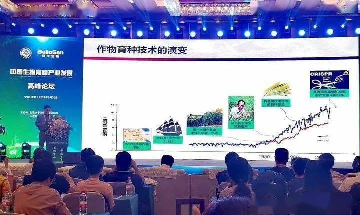 雄縣最新資訊全面解讀，最新動態(tài)與評測介紹