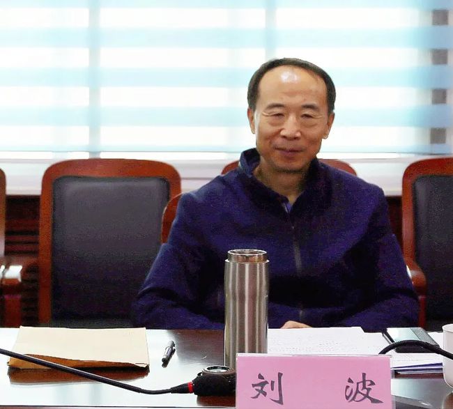 河南鹽業(yè)改革最新動態(tài),河南鹽業(yè)改革最新動態(tài)，產(chǎn)品特性、使用體驗與競品對比的全面評測